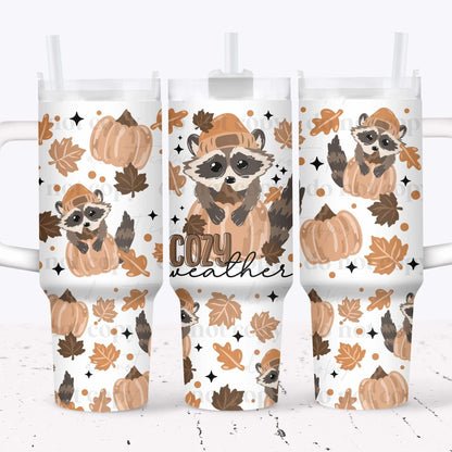 Cozy Weather Racoon
