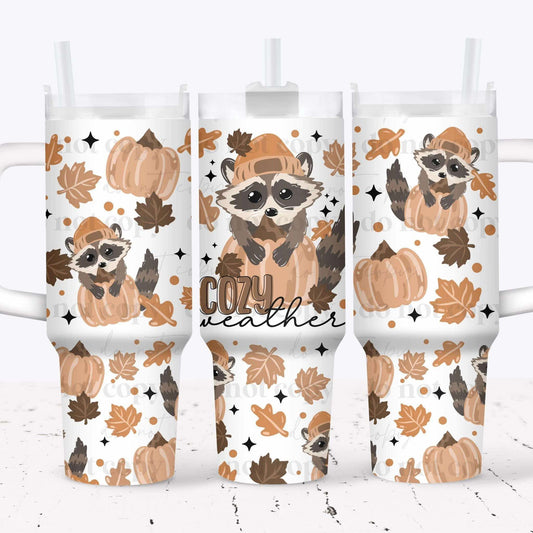 Cozy Weather Racoon