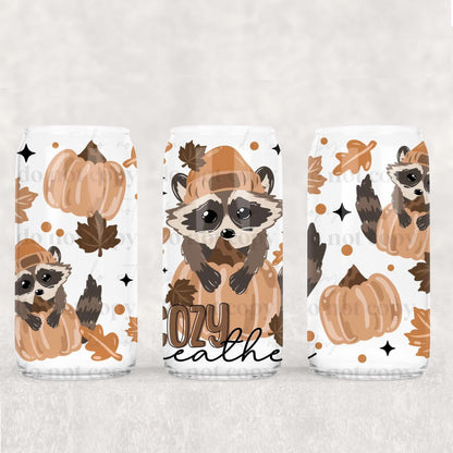 Cozy Weather Racoon