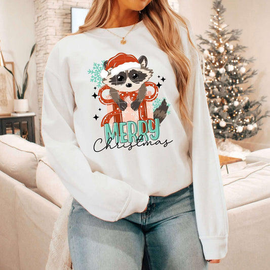 Racoon Merry Christmas